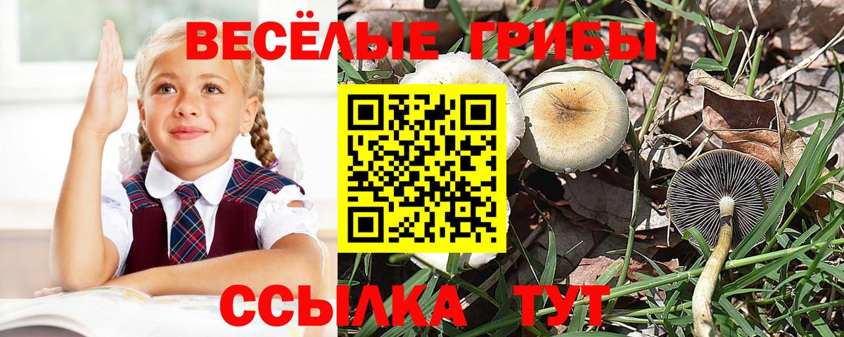 Псилоцибиновые грибы мицелий  Вход с VPN  Владивосток 